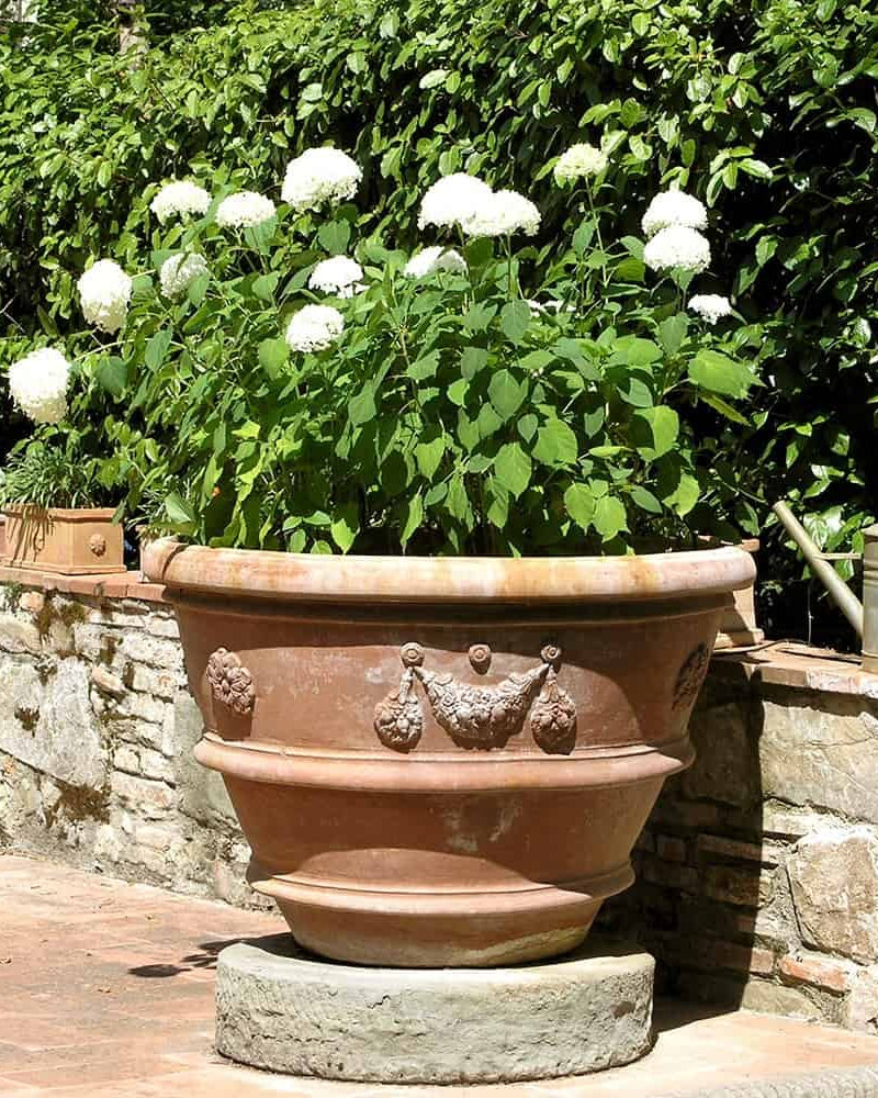 Vaso Giardino Boboli Italian terracotta planter with white hydrangeas on stone terrace, rustic stone garden wall and mixed plantings in background