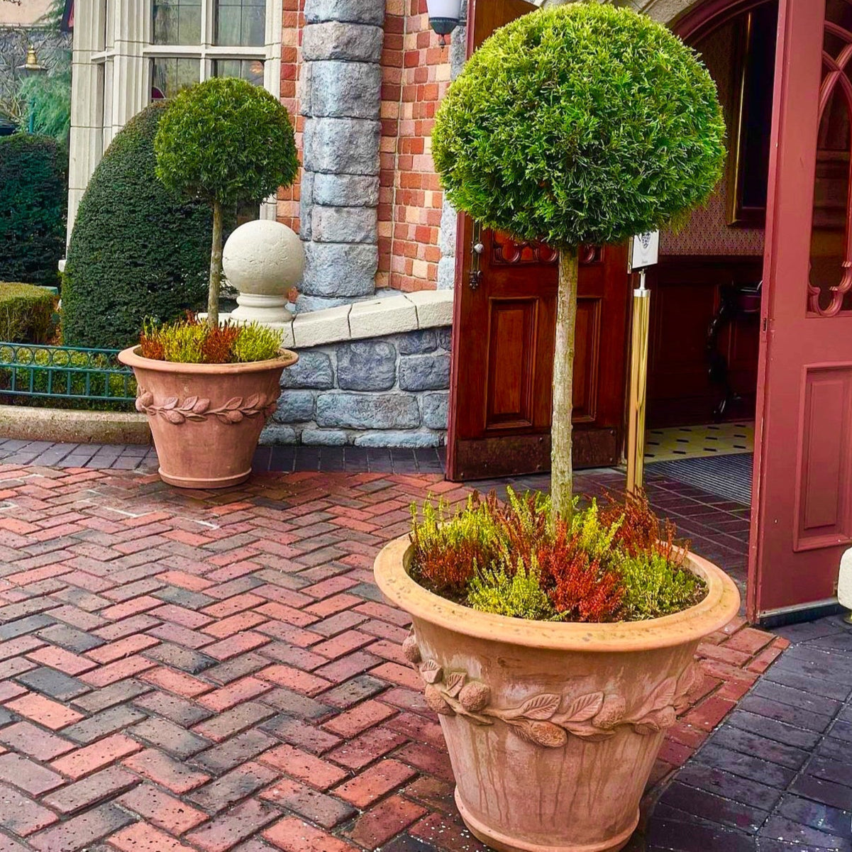 Pair of Vaso Limoni Svasato Italian terracotta planters with ball topiary standards and mixed heather underplanting flanking a brick entrance, stone and red brick facade in background