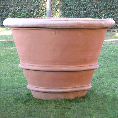 Vaso Doppio Bordo Monumentale Italian terracotta planter with tree on lawn, clipped hedge in background