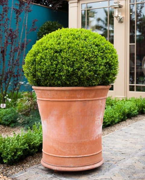 Vaso Arabella - Design Matters