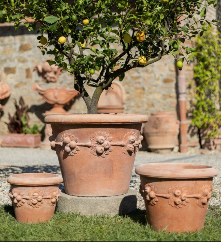 Italian terracotta planters with fruit garland relief shown outdoors in an Italian garden setting, planted with lemon tree